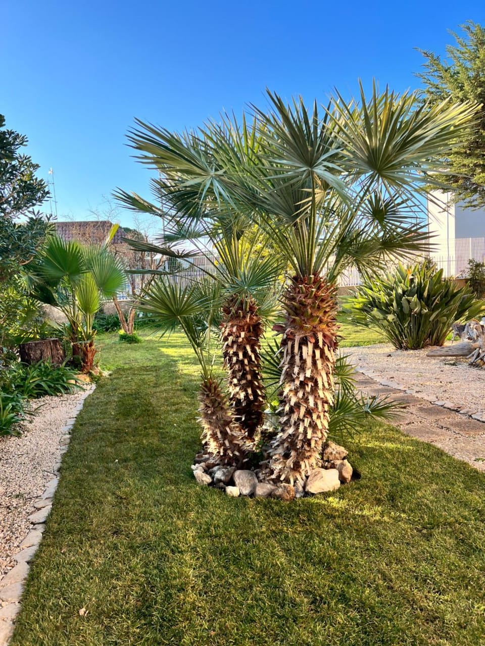 Garden view