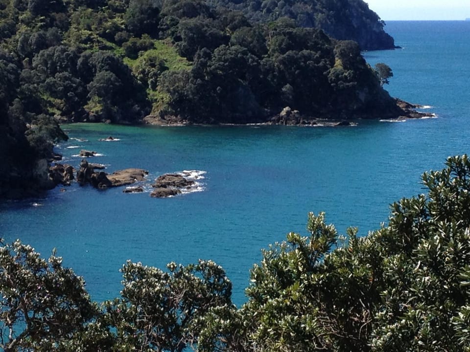 Waihi Beach Getaway-Studio, Ensuite & Private Deck Bed and Breakfast in Bay Of Plenty