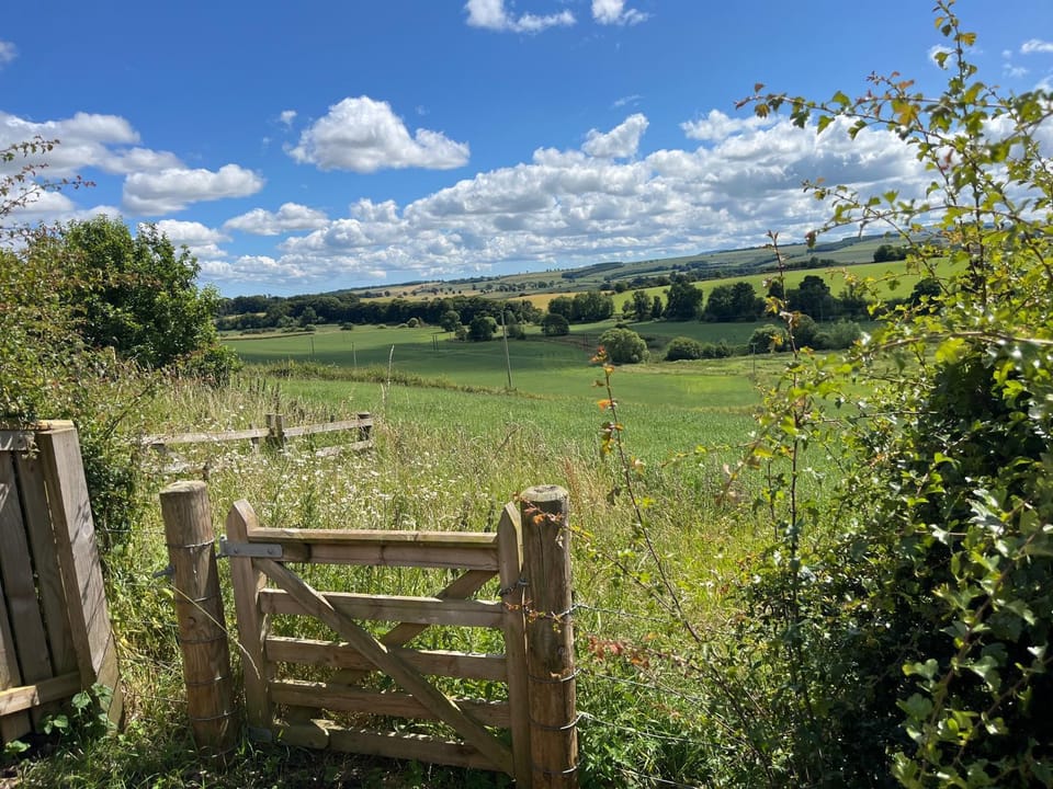Natural landscape, Garden view