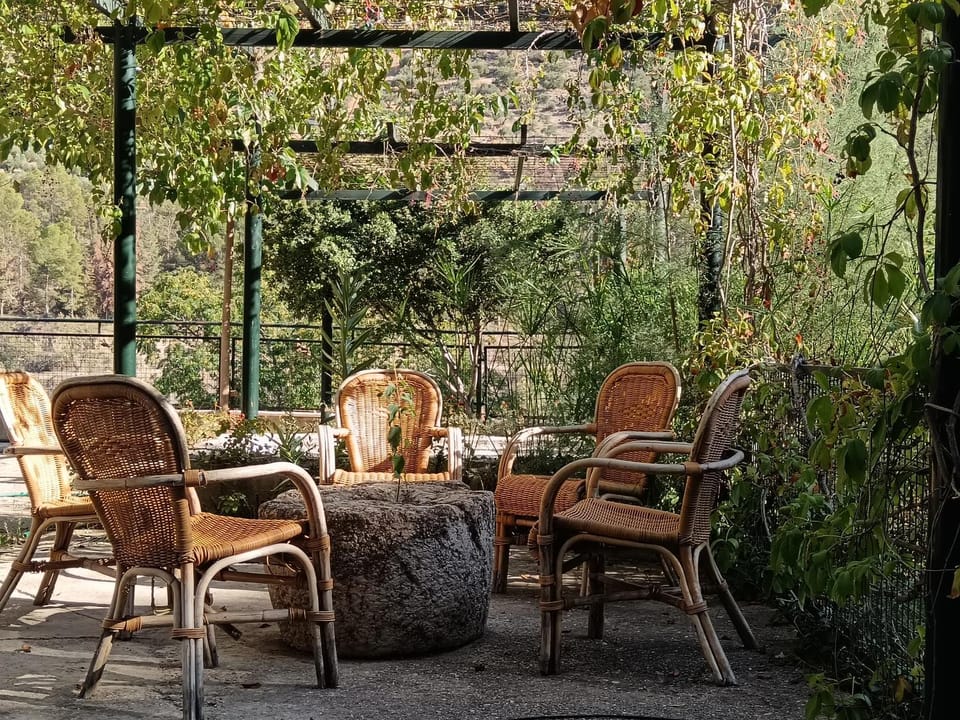 Cortijo el Cercadillo Country House in Andalusia