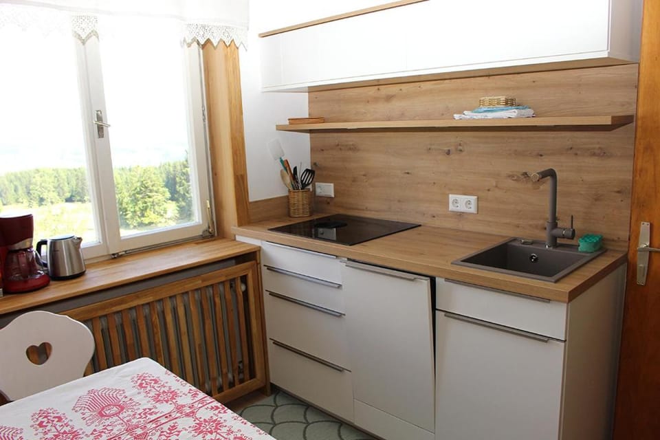 Fingerlos Apartment in Salzburgerland