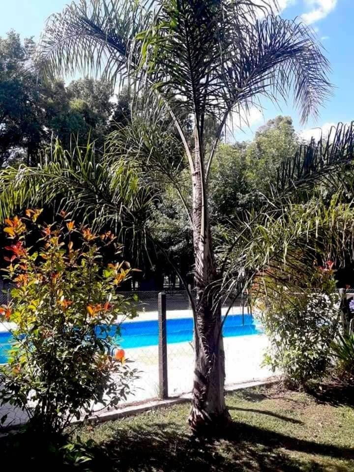 Garden, Pool view