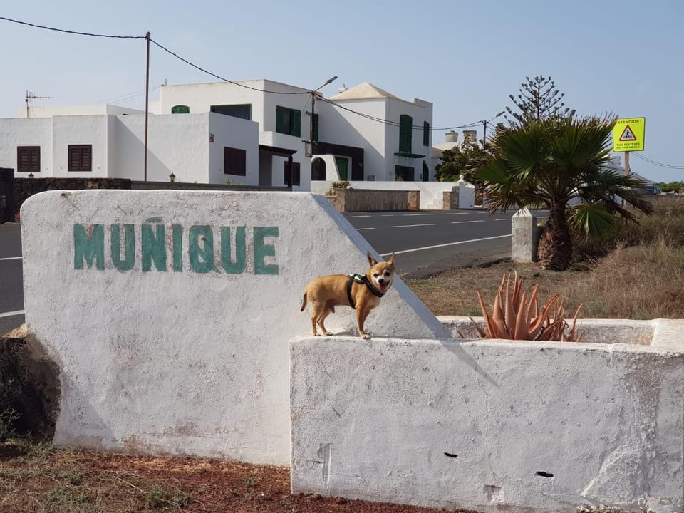 Neighbourhood