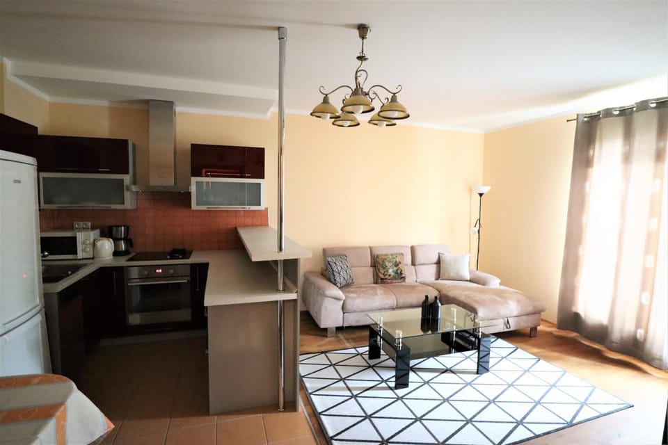 Kitchen or kitchenette, Living room, oven, stove