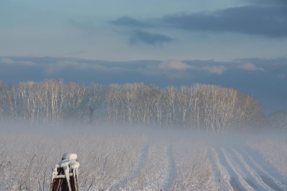 Natural landscape, Winter, View (from property/room)