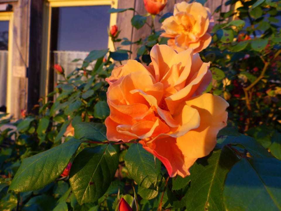 Spring, Other, On site, Sunset