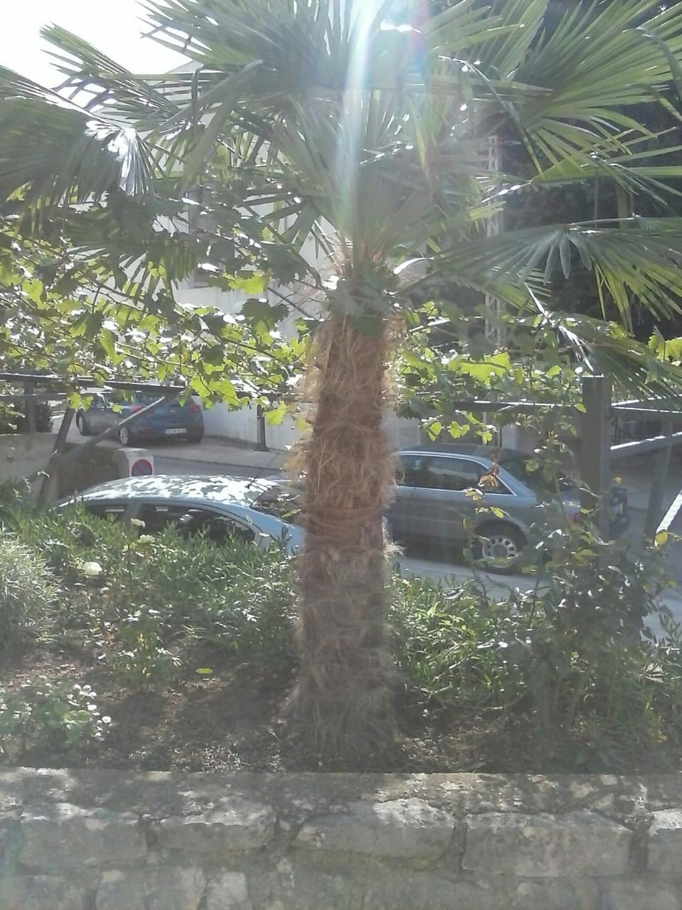 Garden view, Street view
