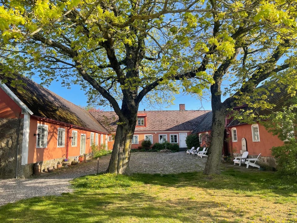Property building, Garden view