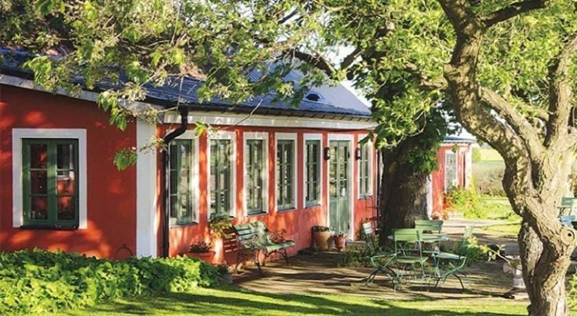 Day, Garden, Garden view