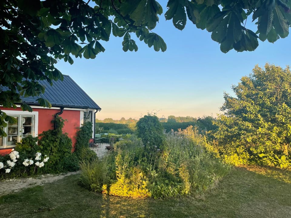 Spring, Day, Garden view