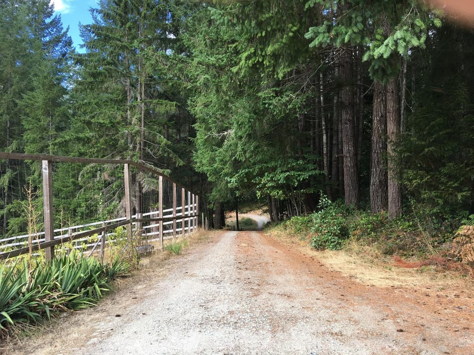 Other, On site, Street view