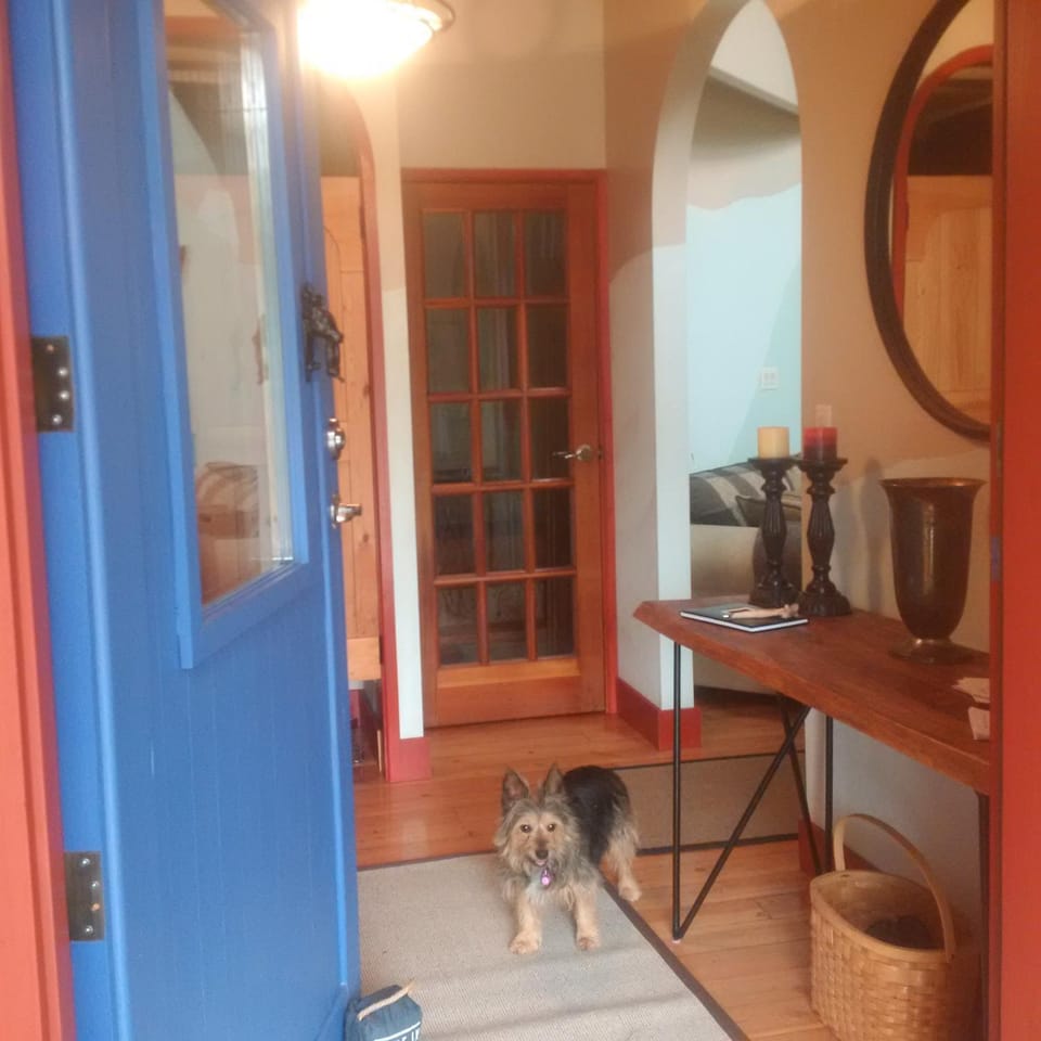 Lobby or reception, Pets, Internal: Not applicable to any particular room