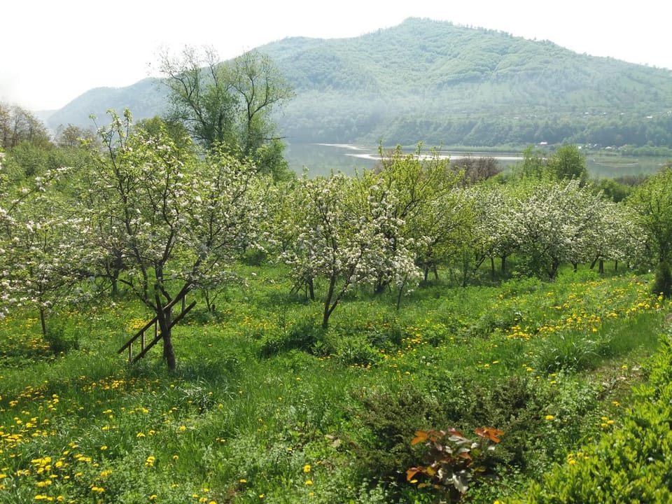 Garden view, Lake view, Mountain view