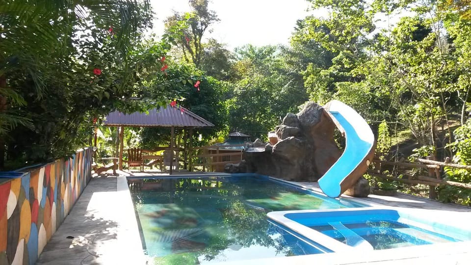 Swimming pool, Swimming pool