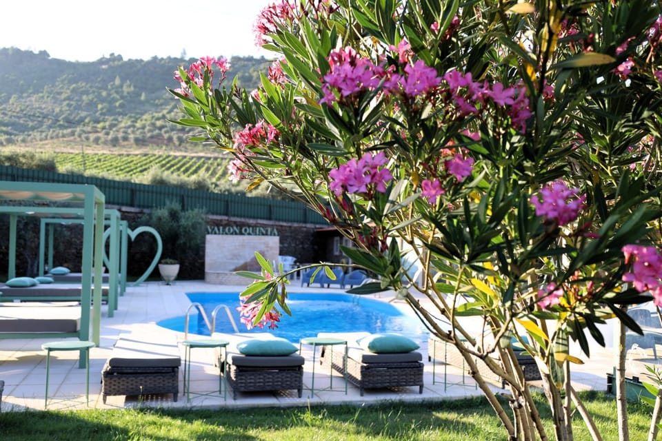 Valonquinta - Agro Hotel & SPA Bed and Breakfast in Portugal