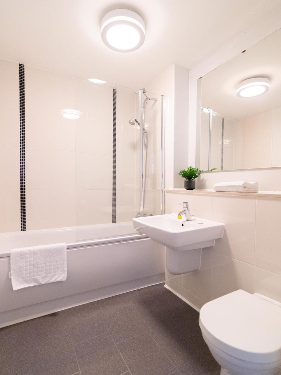 Shower, Toilet, Bathroom, Bath, towels