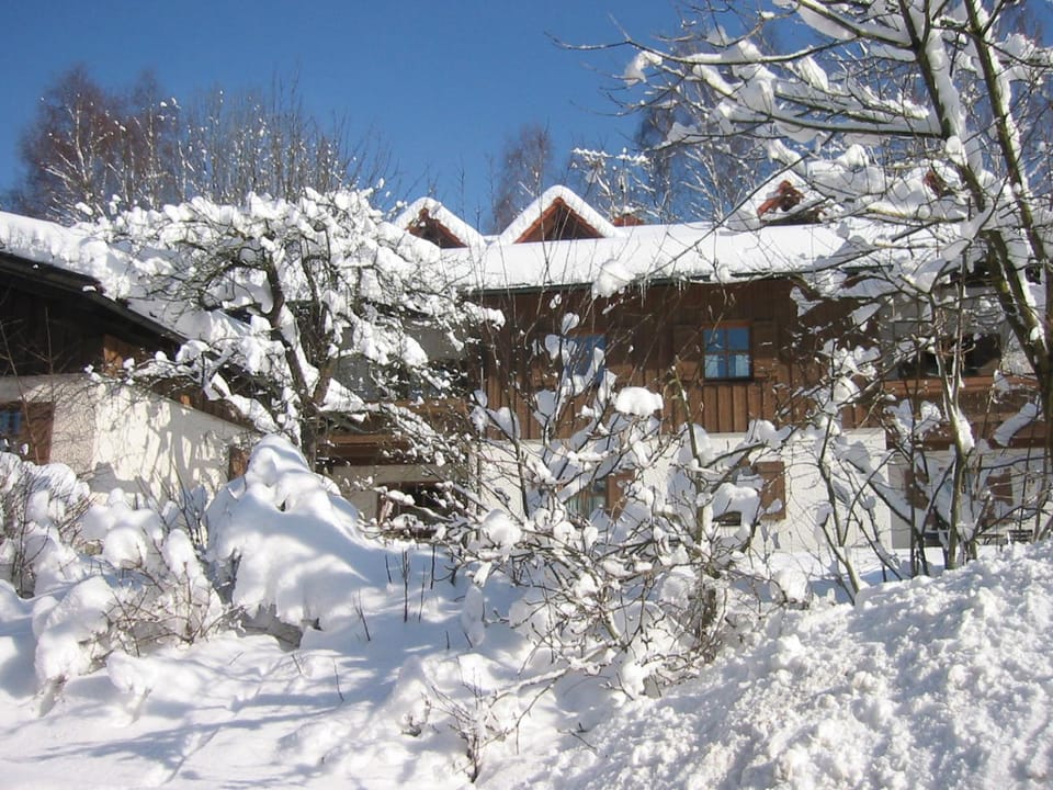 Property building, Natural landscape, Winter