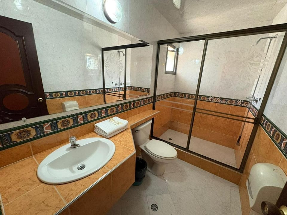 Shower, Toilet, Bathroom, towels