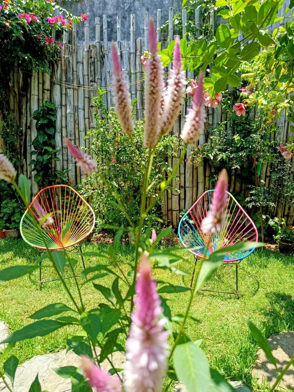 Posada "Jardin Huasteca Xilitla" Bed and Breakfast in Hidalgo, Mexico