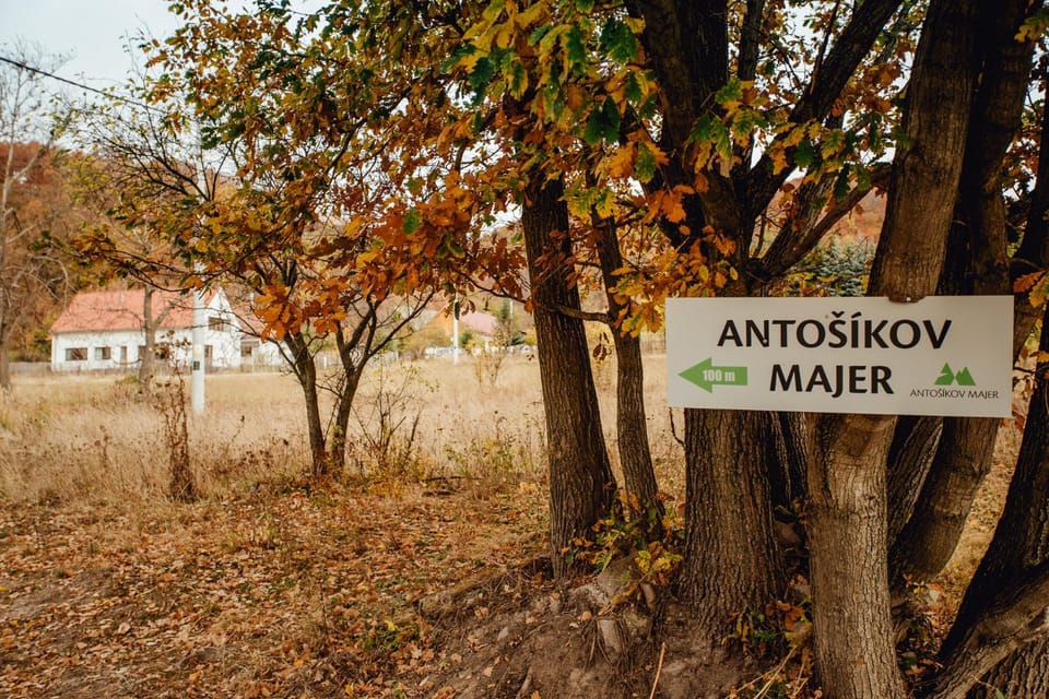 Day, Property logo or sign, Autumn, On site