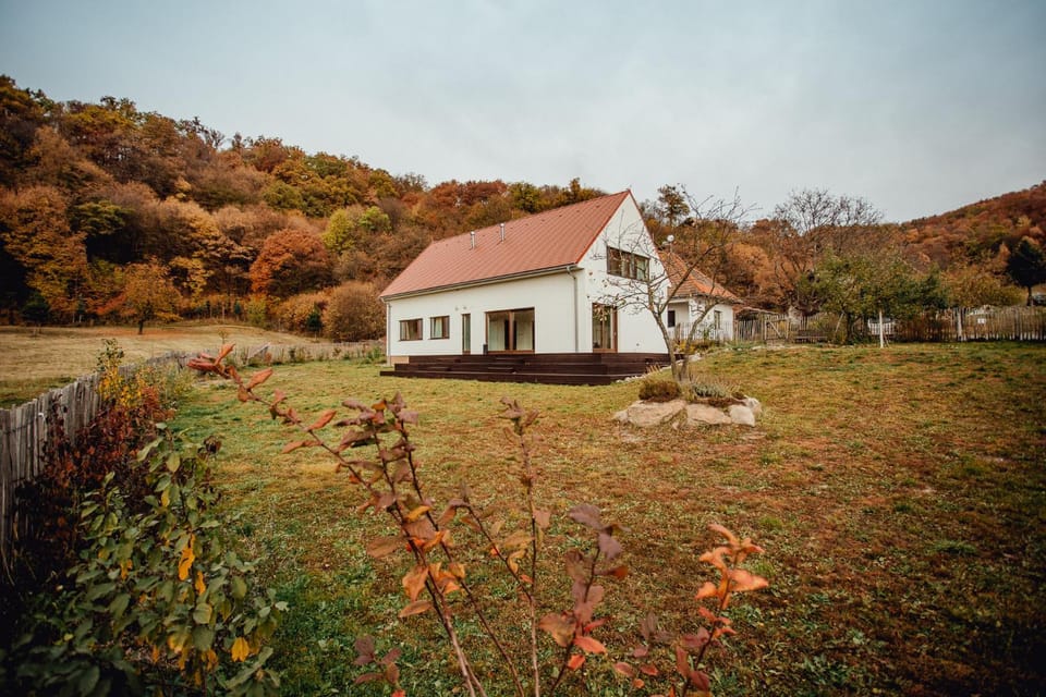 Day, Autumn, On site, Garden view