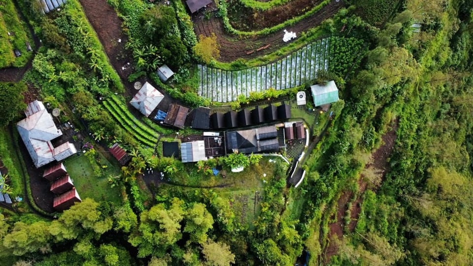 Bali Sunrise Camp & Glamping Campground/ 
RV Resort in Karangasem Regency