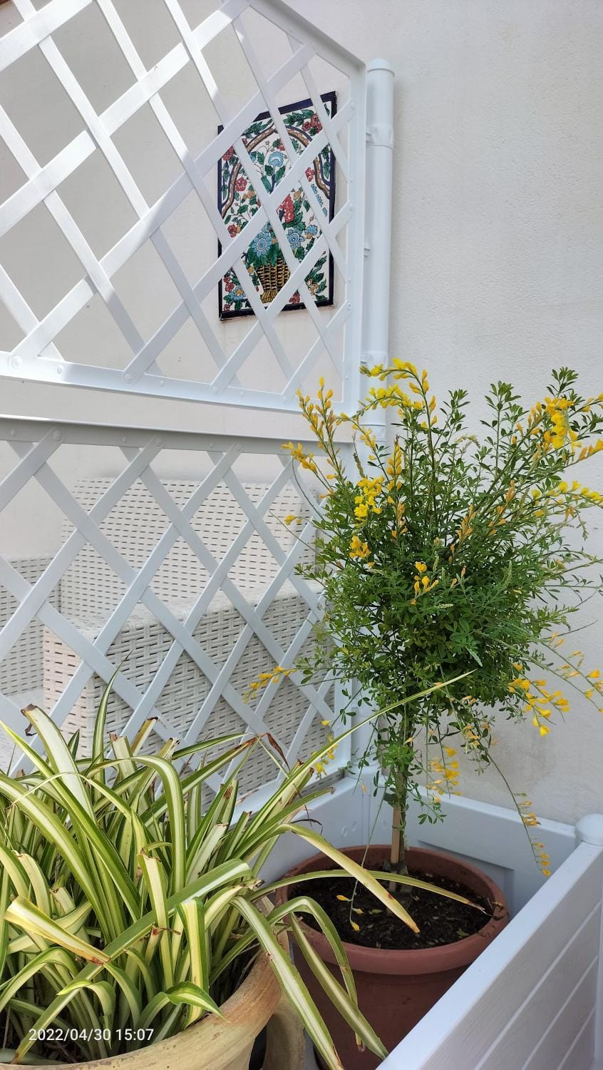 Casa al mare House in Mazara del Vallo