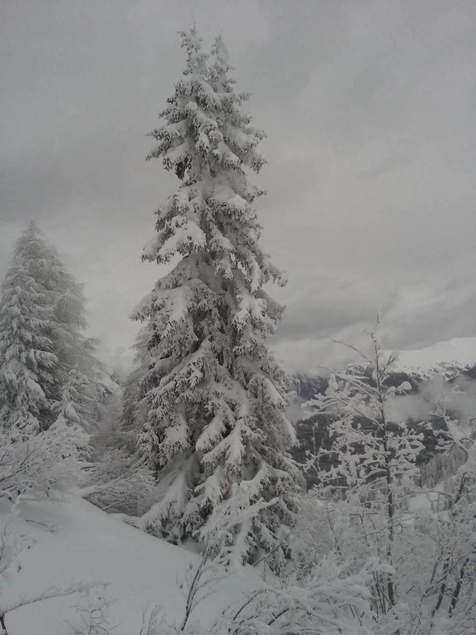 Natural landscape, Other