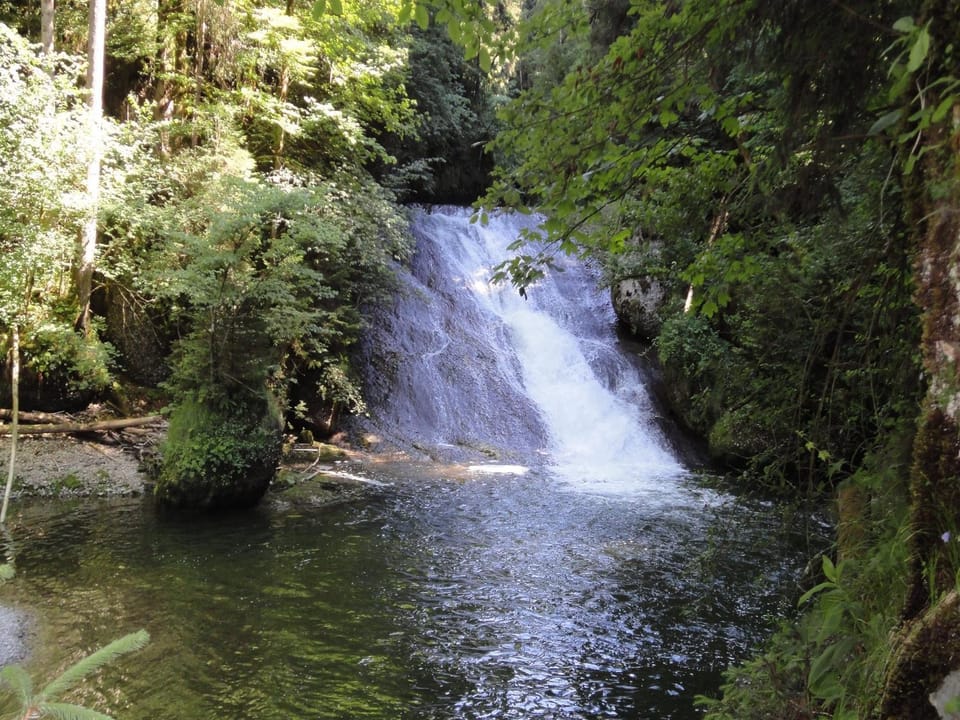 Natural landscape, Hiking, River view