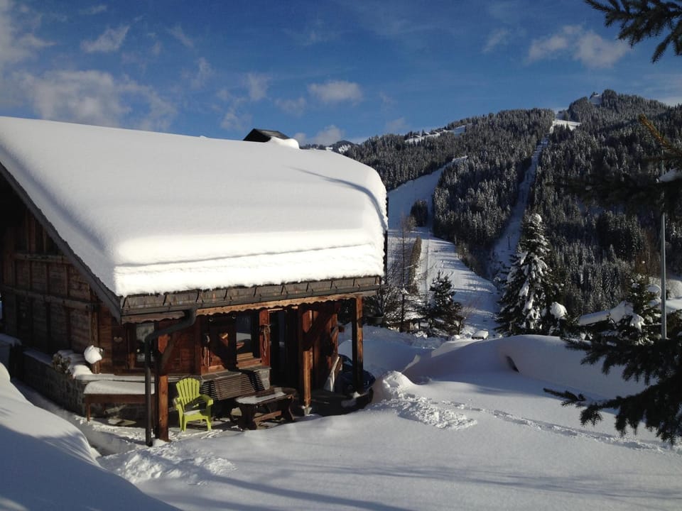 Chalet Camomille Chalet in Les Gets