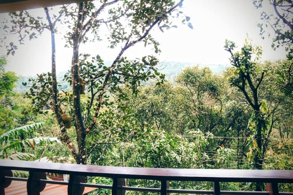 Natural landscape, Pets, Mountain view, group of guests, Family