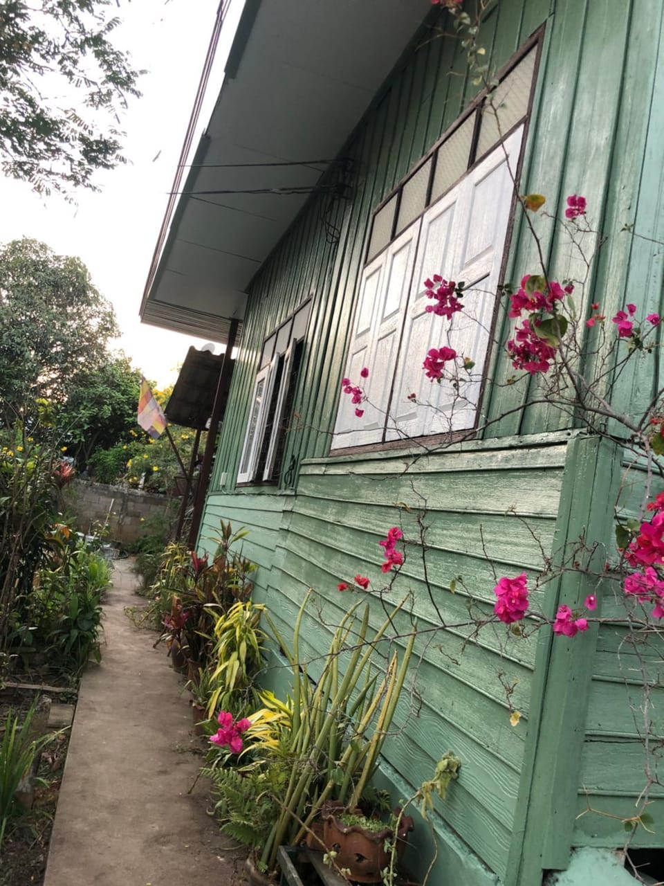 Baan Bua Guest House Hotel in Thailand