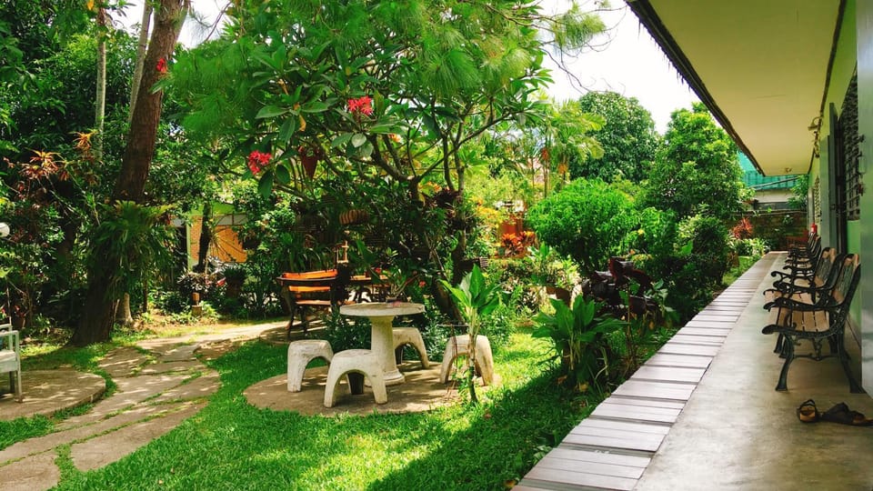 Garden view