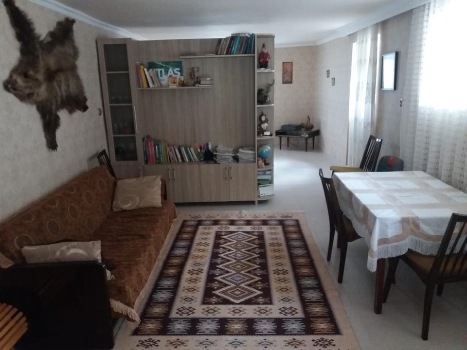 Living room, Photo of the whole room