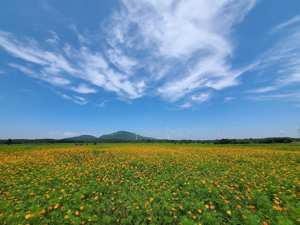 Natural landscape