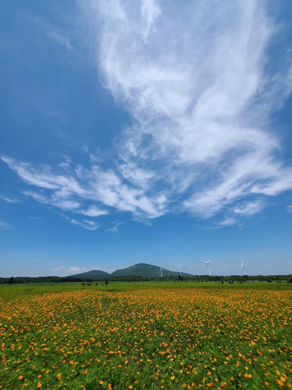 Natural landscape