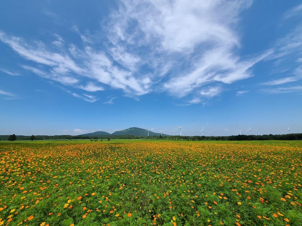 Natural landscape