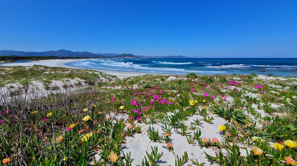 Natural landscape, Beach, Sea view