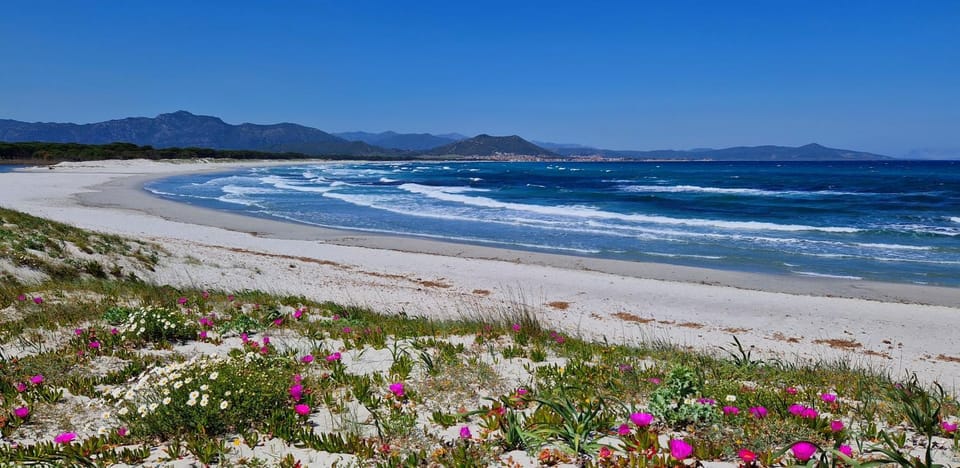 Natural landscape, Beach