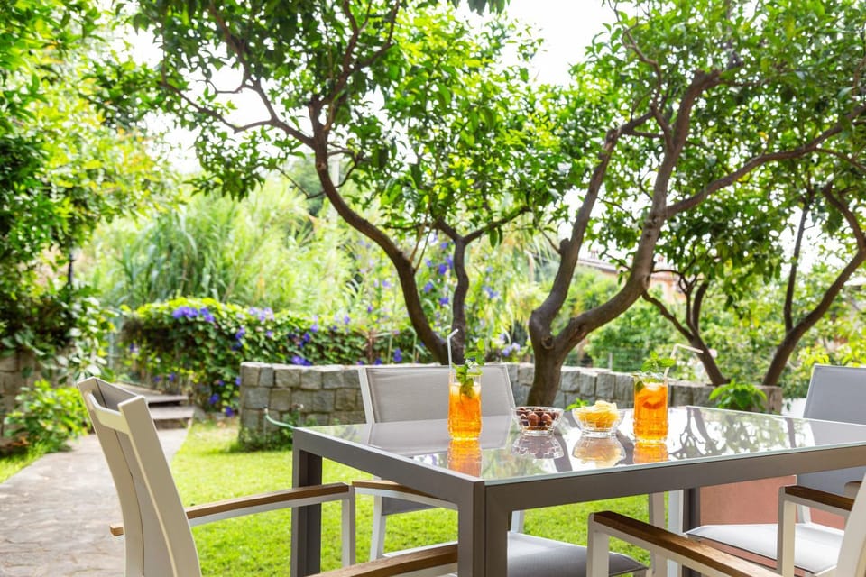 Patio, Garden, Dining area