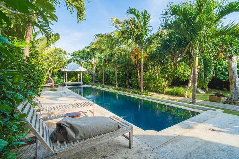 Natural landscape, Garden, Garden view, Pool view, Swimming pool
