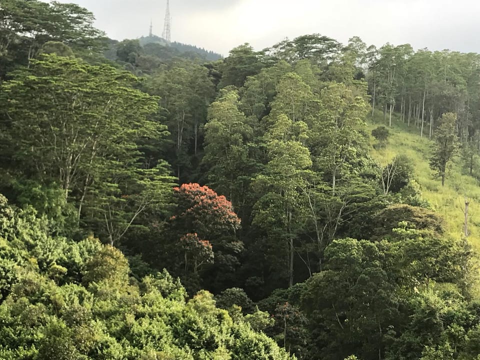 Natural landscape