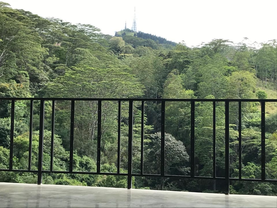 Mountain view