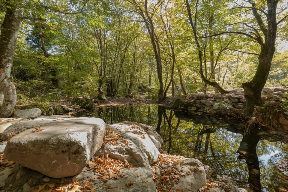 Alseides, The Home Experience Hotel in Pieria, Greece