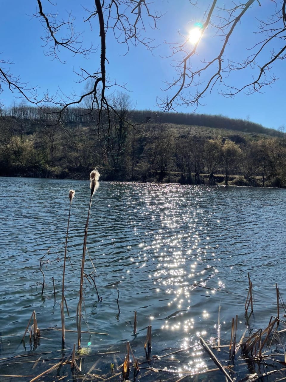 Natural landscape