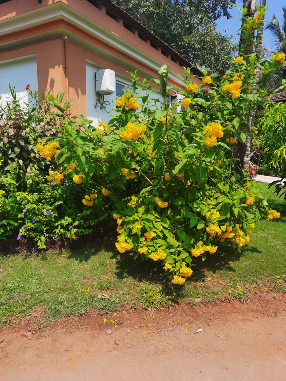 Villa Sunflower Villa in Goa, India