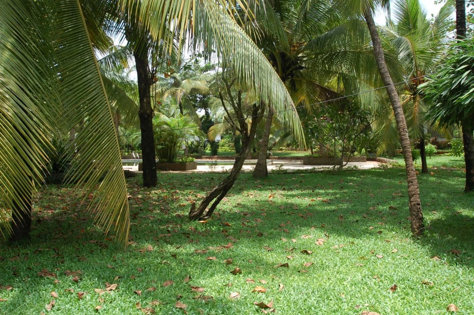 Other, On site