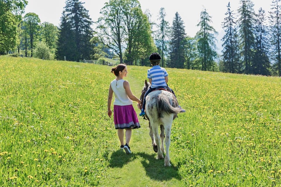 Horse-riding, Animals, children