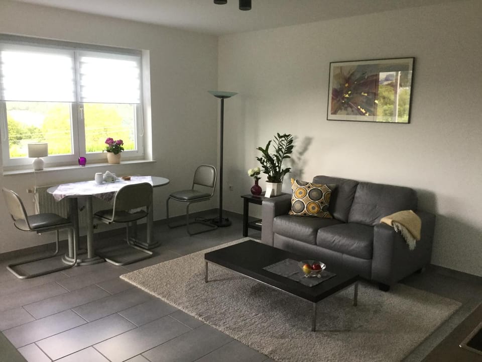 FeWo mit Fernblick Apartment in Trier