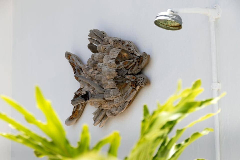 Shower